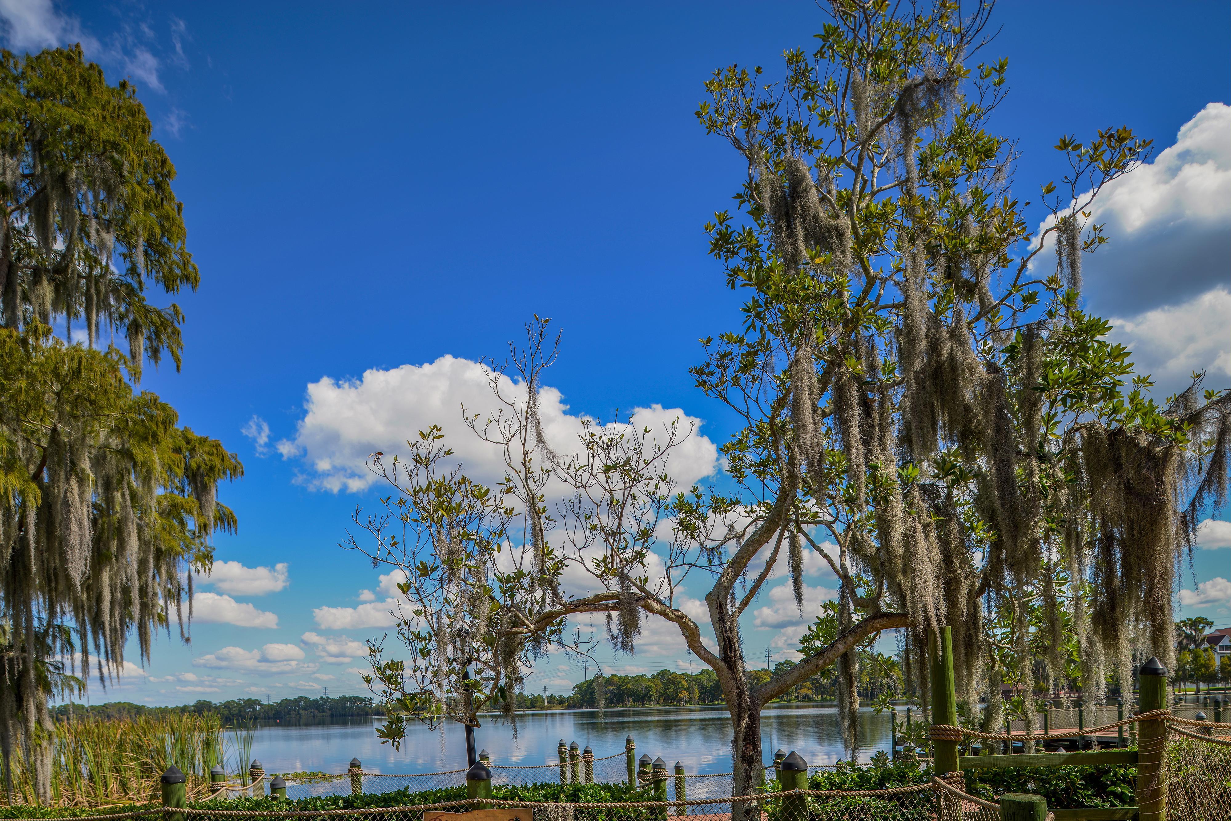 Bryan's Spanish Cove Lake Buena Vista Bagian luar foto